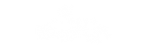 Chubby Dumplings | Chubby Dumplings